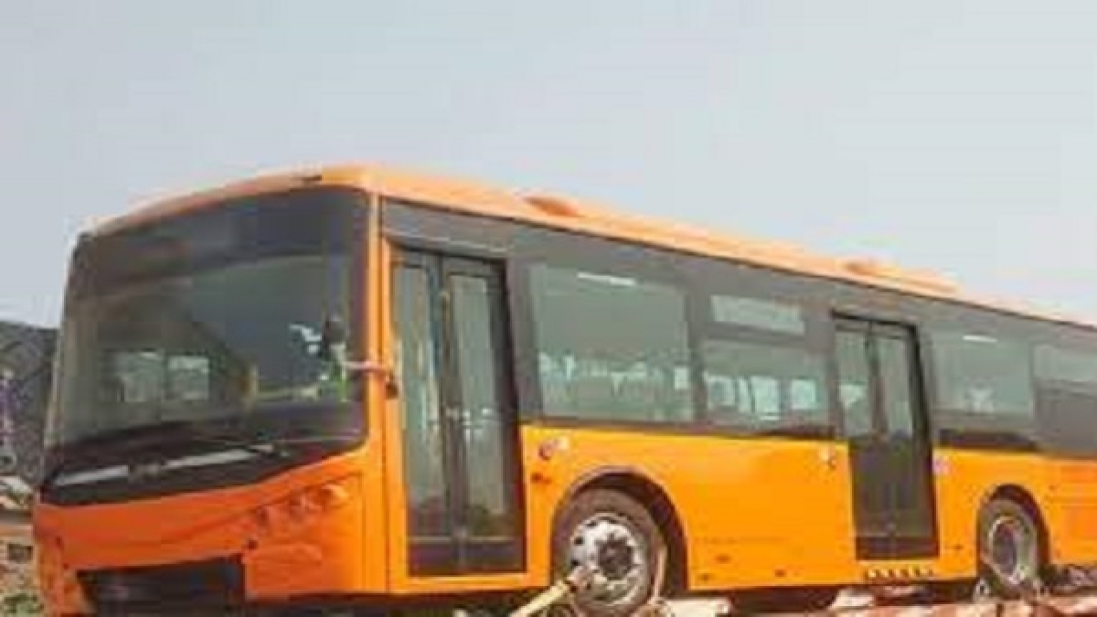 bus bus