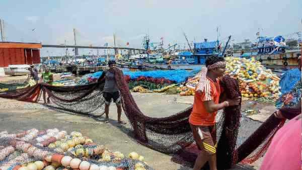 gujarat-high-speed-diesel-vat-relief-scheme-made-life-easier-for-fishermen gujarat-high-speed-diesel-vat-relief-scheme-made-life-easier-for-fishermen