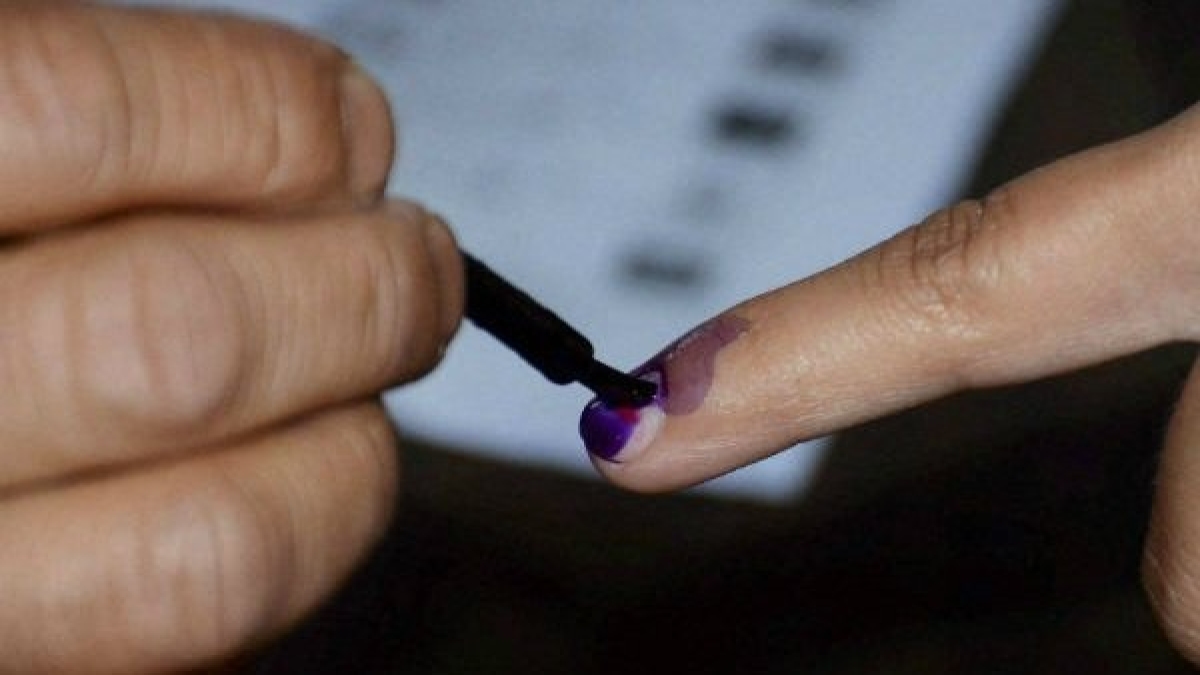 gujarat election gujarat election