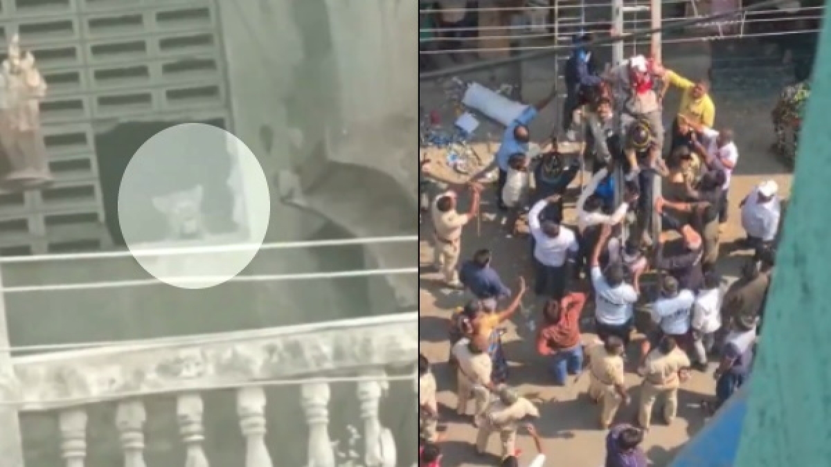 Mumbai leopard in a residential area of Kalyan 3 hurt Mumbai leopard in a residential area of Kalyan 3 hurt