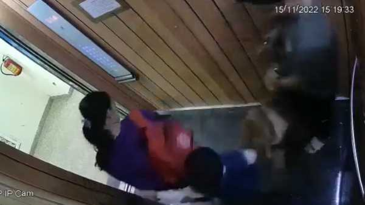 noida dog attack case noida dog attack case