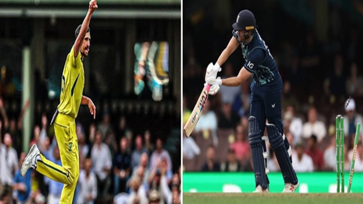 Mitchell Starc Mitchell Starc