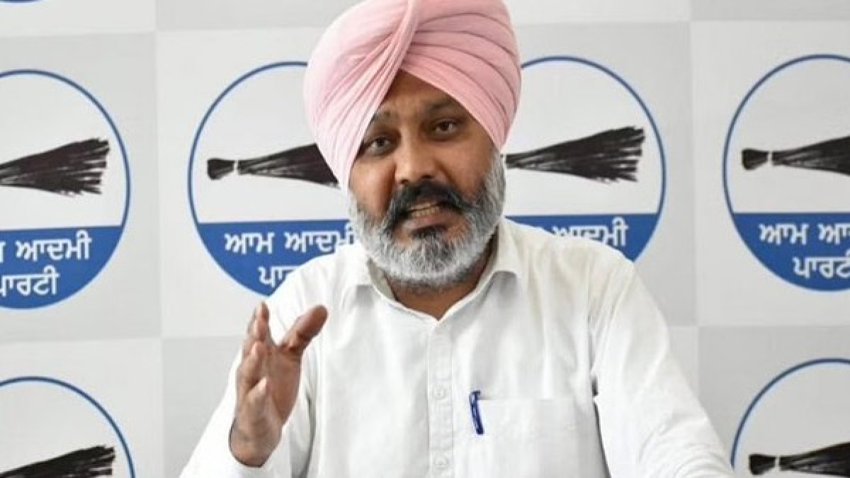 punjab government punjab government