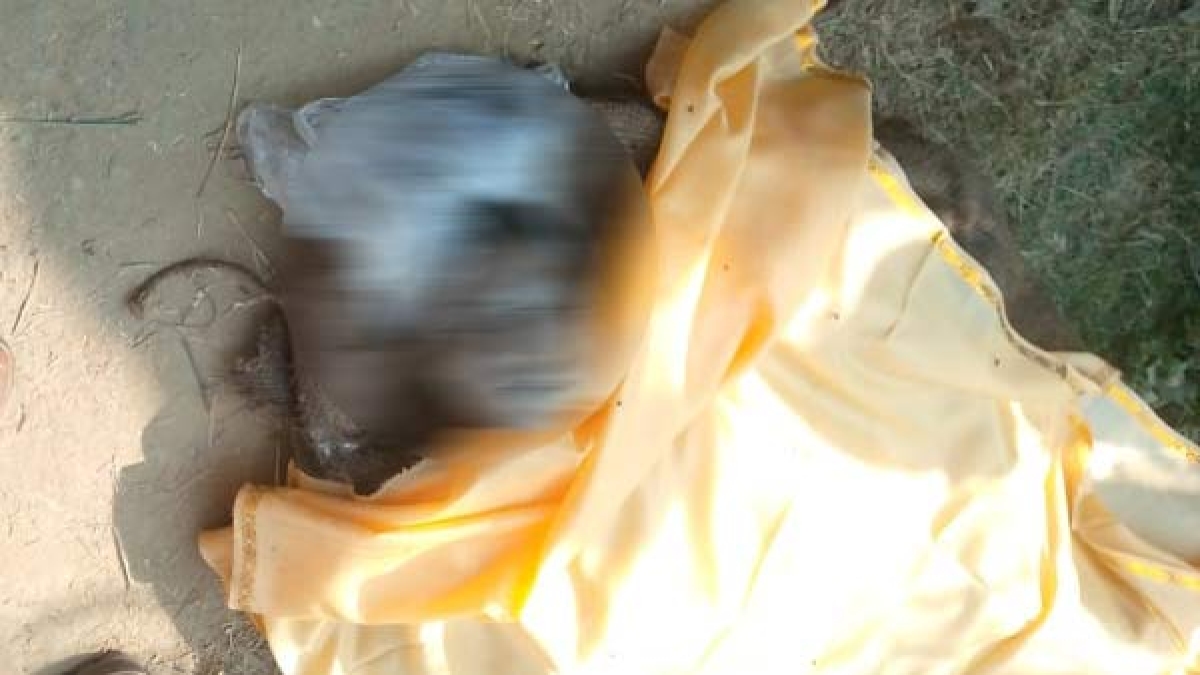 Moradabad News Moradabad News
