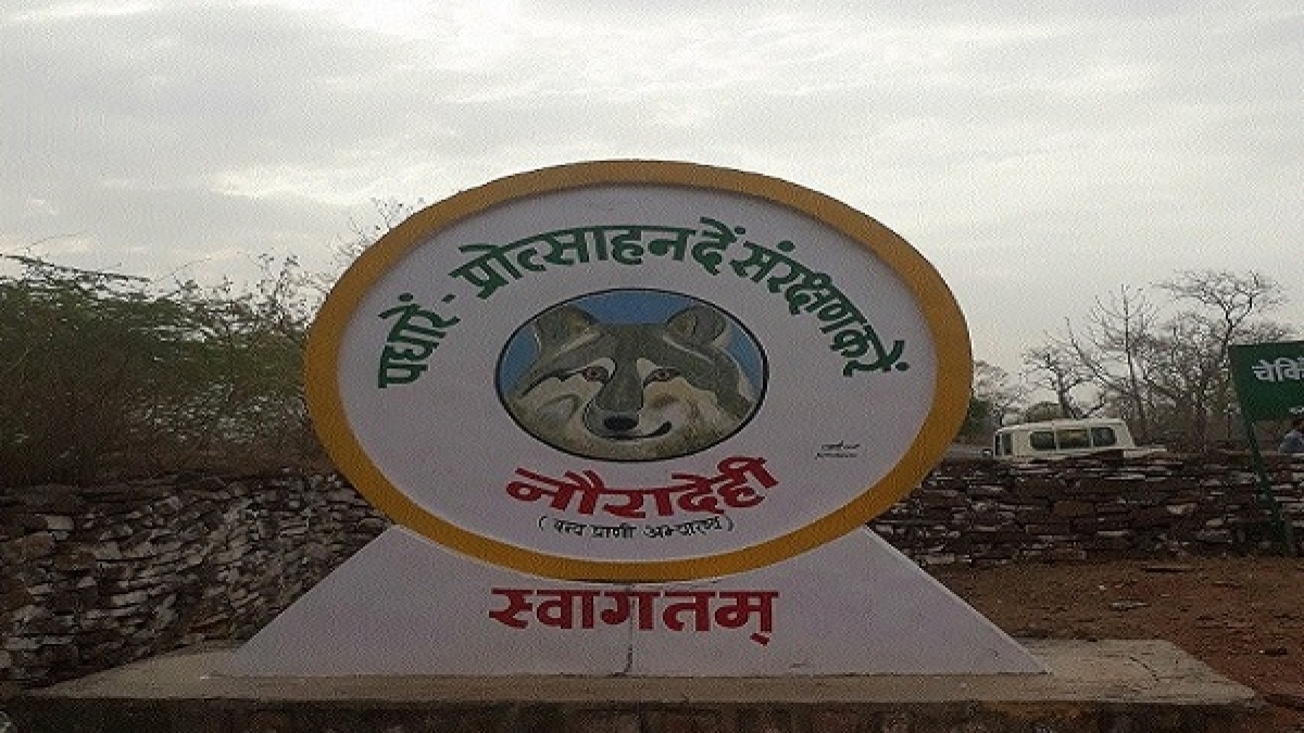 नौरादेही नौरादेही
