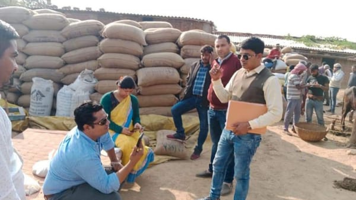 UPs paddy caught in Rewa UPs paddy caught in Rewa