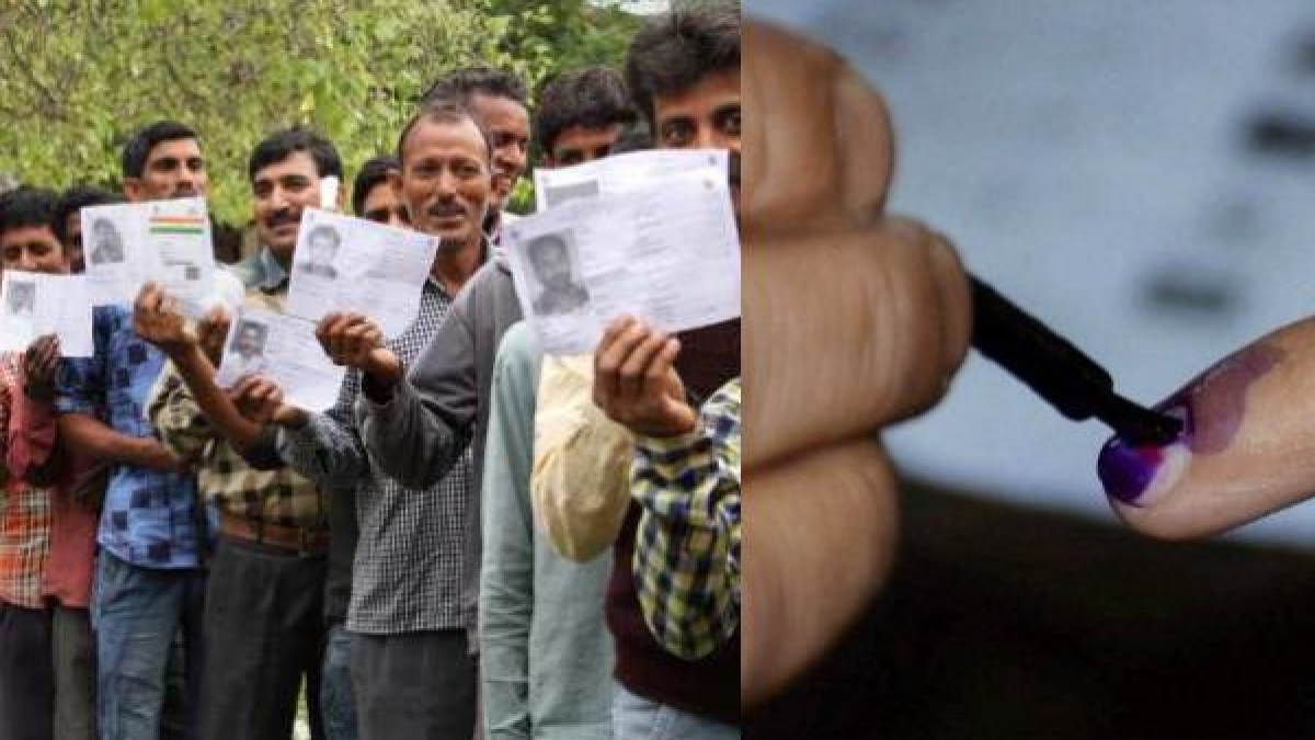 bihar nikay chunav bihar nikay chunav