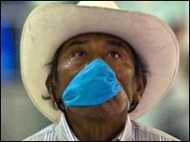 भारत में स्वाइन फ़्लू के मामले नहीं