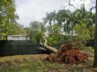 अमेरिका में तूफान से 116 की मौत