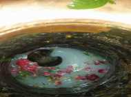 Single minded devotion meaning in hindi