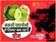 VIDEO: आपके बाजारों में चीन ने भेजी है नकली पत्तागोभी