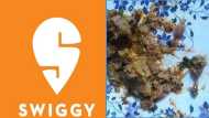 Swiggy से वेज फूड किया था ऑर्डर, लेकिन खाने में मिले 2-3 हड्डी के टुकड़े