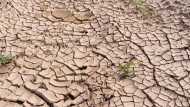 कम बारिश के कारण यूपी, बिहार और झारखंड में सूखे का संकट