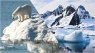 खतरे में दुनिया!  बड़ी तेजी से पिघल रहा है आर्कटिक, अनहोनी की आशंकाओं से  डर गए वैज्ञानिक!