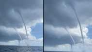 VIDEO: 'ये किसी अनहोनी का इशारा तो नहीं'? एक साथ एक इलाके में दिखे 4 बवंडर, तेजी से भागे लोग