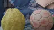 MP के इस शहर में फुटबॉल जितना बड़ा नींबू, कुदरत का करिश्मा देख हर कोई हैरान