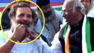 VIDEO : क्या राहुल की दाढ़ी पर 'फिदा' हो गए वयोवृद्ध खड़गे ? Bharat Jodo Yatra की तस्वीर वायरल