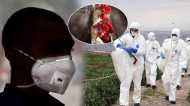 Bird Flu: क्या है बर्ड फ्लू, जो अब इंसानों में भी कोरोना जैसी महामारी बन सकता है?