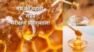 MP: दमोह को मिली 'Honey' टेस्टिंग लैब, प्रदेश भर से आएंगे 'शहद' के सैंपल