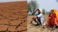 मौसम विभाग से चिंताजनक खबर, El Nino की 70 प्रतिशत आशंका, क्या पड़ेगा सूखा?