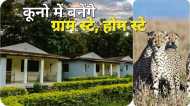 Kuno National Park में चीता सफारी के लिए होम स्टे, ग्राम स्टे और फाॅर्म स्टे बनेंगे