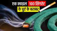 मच्छर भगाने के लिए नहीं जलाएं क्वॉइल, 100 सिगरेट के बराबर निकलता है धुआं, ये है बेहतर उपाय, नहीं होगी बीमारी