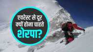 Mount Everest से क्यों मुंह मोड़ रहे हैं नेपाली शेरपा? बच्चों को बता रहे- 'मुझे कोई भविष्य नहीं दिखता'