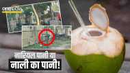 Greater Noida: नाली के पानी से नारियलों को रखता था 'ठंडा', Video वायरल होने के बाद पुलिस ने पकड़ा