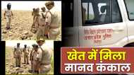 UP: खेत में मिला मानव कंकाल, कई हिस्सों को खा गए थे कुत्ते और जंगली जानवर, नहीं हो सकी शिनाख्त