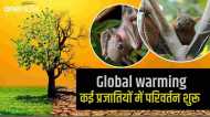 Global warming: तोते से चमगादड़ तक बदलने लगे हैं रूप, जलवायु परिवर्तन का भयावह अंजाम शुरू