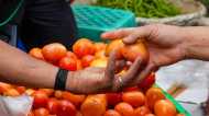 Free Tomato: इस ऑटो वाले ने निकाली गजब की स्कीम, मुफ्त दे रहा टमाटर, आप भी उठा सकते हैं ऐसे फायदा