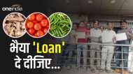 बीबी ने बोला 'टमाटर' लाओ, लेकिन पतिदेव Loan लेने पहुंच गए PNB, बैंक वालों ने भगाया तो Tomato ketchup लेकर लौटे