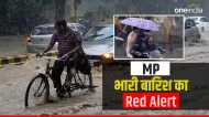 MP में मूसलाधार बारिश का Red Alert, इन शहरों की यात्रा करने से बचें