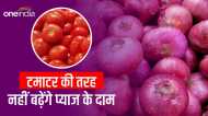 टमाटर की तरह प्याज के दाम में नहीं लगेगी आग, सरकार ने लिया बड़ा फैसला