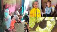 UP News: बुझ गए घर के चिराग! दादी-पोतों पर मधुमक्खियों का हमला, दोनों मासूमों की मौत