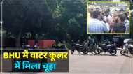 BHU में हॉस्टल के वाटर कूलर में चूहा मिलने से नाराज छात्रों ने किया हंगामा, वार्डन पर लापरवाही का आरोप
