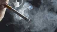 Tobacco Addiction: नौजवानों की जिन्दगी बर्बाद करती तंबाकू