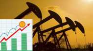 Crude Price Rise: तेल की कीमतों में उछाल क्या महंगाई करेगी बेहाल?