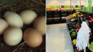 Indore news: क्या मॉल्स में खुले में बिकते हैं अंडे?, Reality Cheak में सामने आया सच