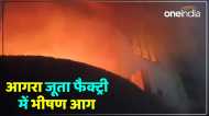 UP News: आगरा में जूता फैक्ट्री में लगी भीषण आग, धमाकों से दहल उठा इलाका