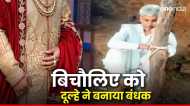 दुल्हन ने शादी से किया इंकार तो फूफा जी मुसीबत में पड़ गए, दूल्हे ने पूरी रात भैंस के तबेले में बांध कर रखा