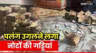 'बेड में नोट, तकिए में भी नोट', जब धनकुबेर का छिपा खजाना देख चकाचौंध हो गईं पुलिसवालों की आंखें, Video