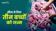 Rajasthan News: सीता ने 3 बच्चों को दिया जन्म, एक बेटी और दो बेटा, जानिए इस अनोखी खबर को