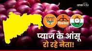 Maharashtra Election: महायुति का क्या होगा? नहीं रुक पा रहे प्याज के आंसू, हाथ मलते न रह जाए गठबंधन!