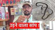 Rajasthan News: राजस्थान कहां से आया उड़ने वाला सांप,डीएफओ हरीकिशन सारस्वत ने बताई सच्चाई !