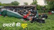 Sagar Accident News:  सड़क पर पलट गया टमाटर से लदा ट्रक, लोगों की लग गई लॉटरी
