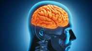 क्‍या है न्यूरो टेक्नोलॉजी? वर्किंग प्‍लेस पर इस डिवाइस के इस्‍तेमाल ने बढ़ाई ब्रेन डेटा को लेकर चिंता