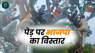 लो जी, नेटवर्क नहीं मिला तो पेड़ पर चढ़कर बनाने लगे बीजेपी के मेंबर, वीडियो वायरल हुआ तो खुल गई विकास की पोल