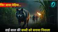 Bahraich Wolf Attack: 'फिर आया भेड़िया...', ढाई साल की बच्ची को बनाया निवाला, गन्ने के खेत में मिली लाश
