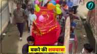 'बकरे की शवयात्रा', अमरोहा में चामुंडा मां के नाम पर छोड़ा गया था, मौत के बाद किया गया अंतिम संस्कार